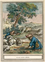 Der Wolf wird zum Hirten