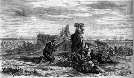 Tabakanbau: die Ernte. Gravur in „Le Monde Illustré“ Nr. 155 vom 31. März