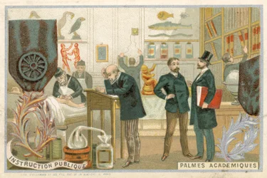 Sammelkarte mit einem Bild des Ordre des Palmes Academiques