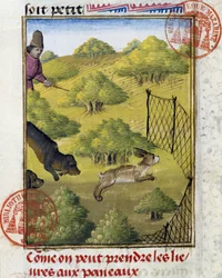 Falle für Hasen und Jagdhunde - im „Jagd-Buch von Gaston Phoebus, Graf von Foix, Herr von Béarn“