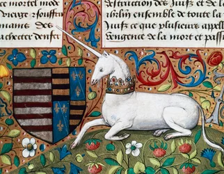 Einhorn