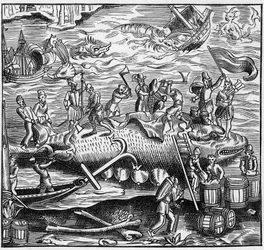 Walfang an der französischen Atlantikküste im Mittelalter. Gravur in „La Marine et les colonies: commerce“