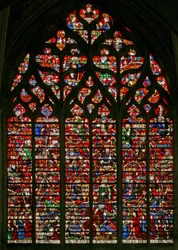 Fenster w230 zeigt den Jessebaum