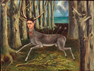 El venado herido