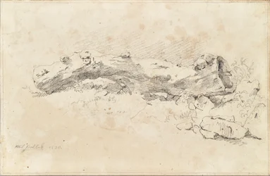 Liegender hohler Baumstamm