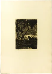Auf dem Moor