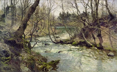 Fluss