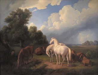 Lucia, Whimsey, Bellona, Hertha, Olga