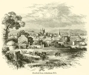 Hereford von Athelstane Hill