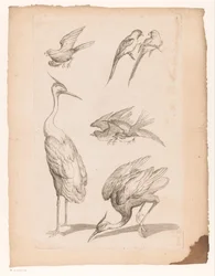 Sieben chinesische Vögel, darunter Reiher und Papageien