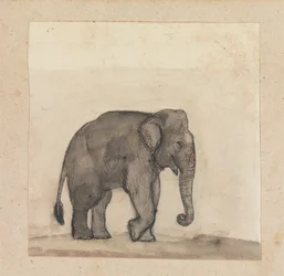 Elefant