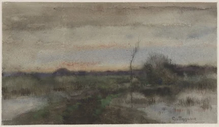 Sumpflandschaft bei Sonnenuntergang