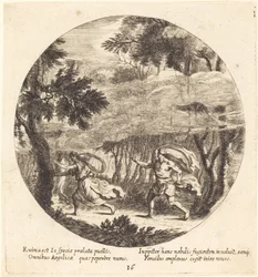 Jupiter und Io