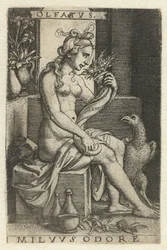 Geruch (Olfactus) (Serie: Vijf Zintuigen)