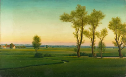 Moorlandschaft