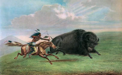 Druck nach Buffalo Hunt