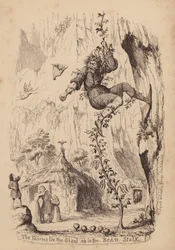 Hans und die Bohnenranke