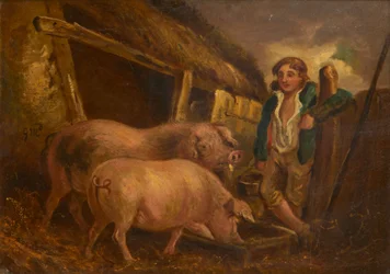 Pflege der Preisschweine