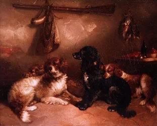 Nach der Jagd - Ein Quartett von Spaniels
