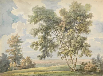 Landschaft mit Bäumen und Schafen (Parklandschaft mit Schafen)