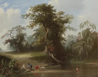 Landschaft; ländliche Szene