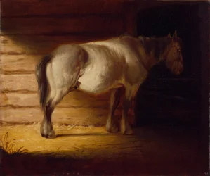 Old Field Horse, vor 1856