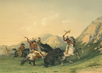Angriff auf den Grizzlybären