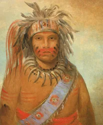 Au-nim-muck-kwa-um, Sturmvogel, 1845