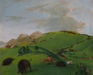 Büffeljagd, Mündung des Yellowstone