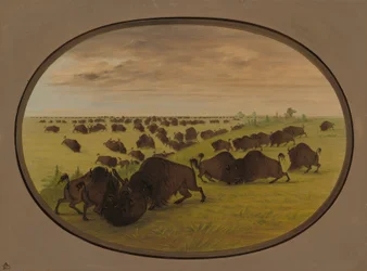 Kämpfende Stiere, 1861-1869