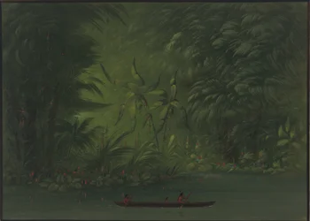 Eingang zu einer Lagune, Ufer des Amazonas