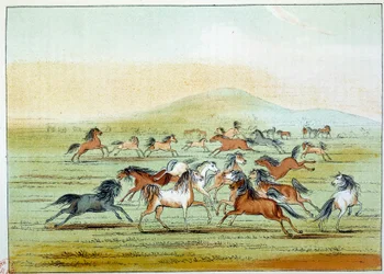 Wilde Pferde, die von Indianern gejagt werden. Illustration von George Catlin