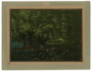 Üppiger Wald am Ufer des Amazonas