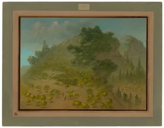 Rhododendron-Berg