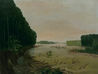 Blick auf den Missouri, Alluviale Ufer fallen ein, 600 Meilen oberhalb von St. Louis