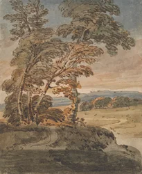 Bäume auf einem Hügelpfad