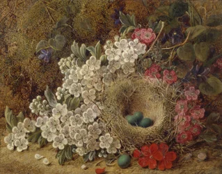Ein Vogelnest und Blüten auf einem moosigen Ufer