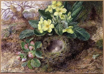 Stillleben mit Primeln und Vogelnest