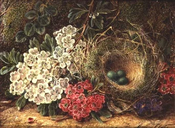 Stillleben mit Vogelnest