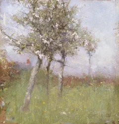 Apfelblüte