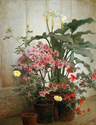 Seite eines Gewächshauses, 1870-80