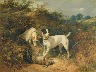 Die Freunde des Wildhüters