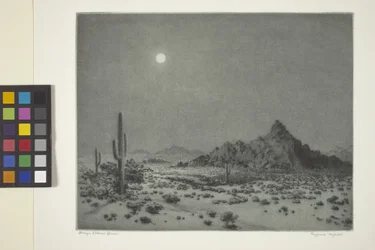Arizona Nacht