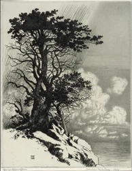 Küste bei Monterey, Kalifornien