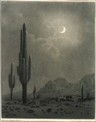Neumond und Abendstern, Phoenix