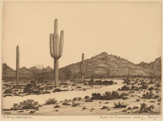 Straße zum Paradies-Tal, Arizona