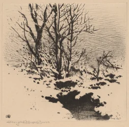 Der erste Schnee (Nr. 2)