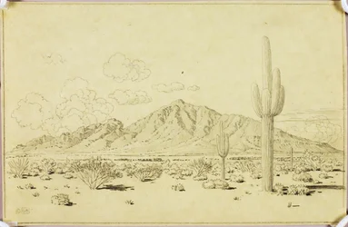 Ohne Titel (Übertragungszeichnung für Camelback Mountain, Phoenix)