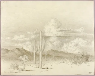 Ohne Titel (Übertragungszeichnung für Abend, Paradise Valley, Arizona)