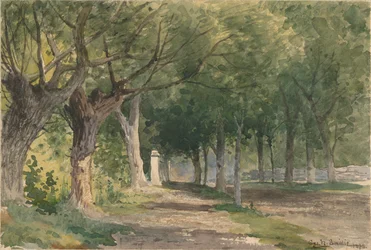 Baumallee